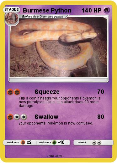 Pokemon Burmese Python