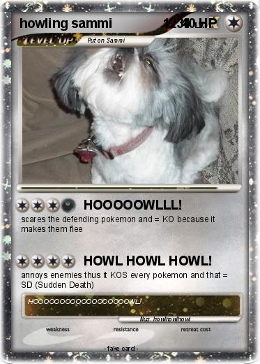 Pokemon howling sammi              1234