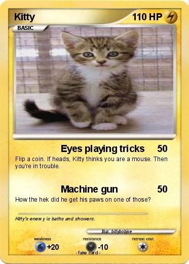 Pokemon Kitty