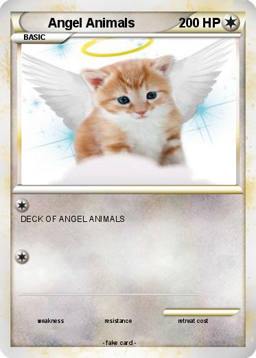 Pokemon Angel Animals