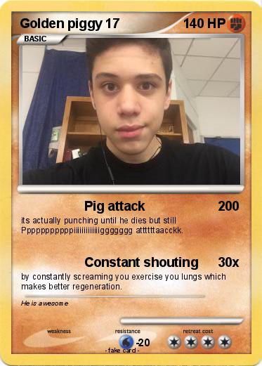 Pokemon Golden piggy 17