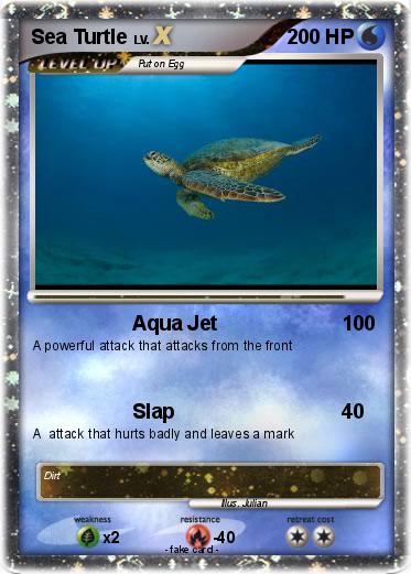 Pokemon Sea Turtle