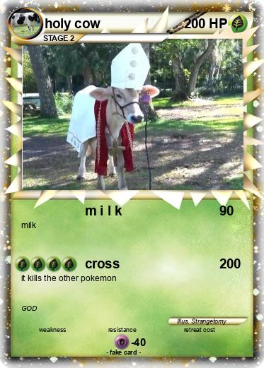 Pokemon holy cow
