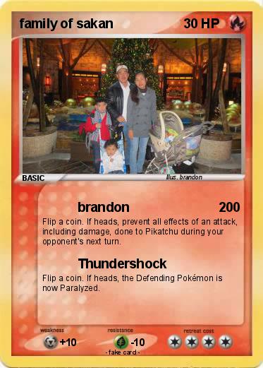Pokemon family of sakan