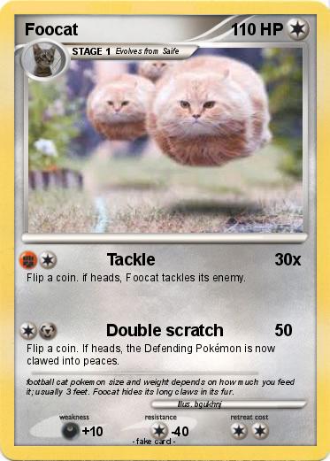 Pokemon Foocat