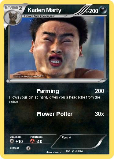 Pokemon Kaden Marty