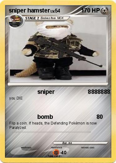 Pokemon sniper hamster