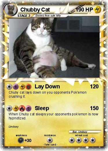 Pokemon Chubby Cat