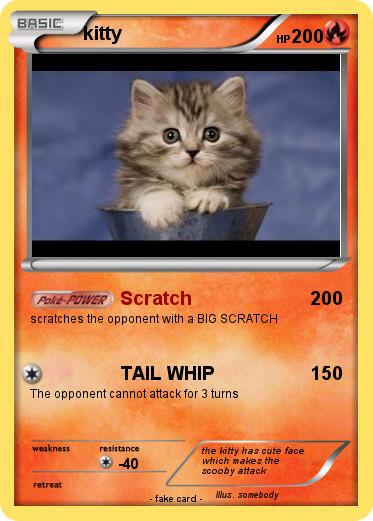 Pokemon kitty