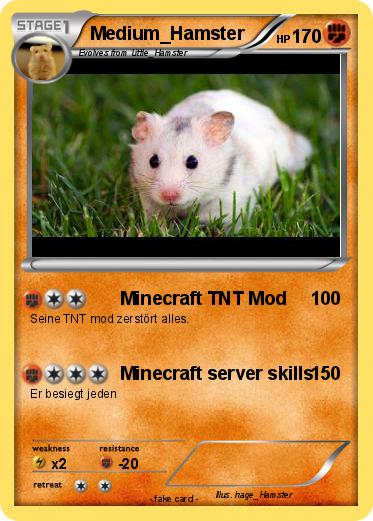 Pokemon Medium_Hamster