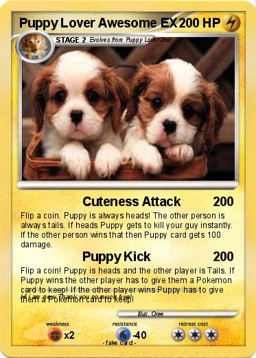 Pokemon Puppy Lover Awesome EX