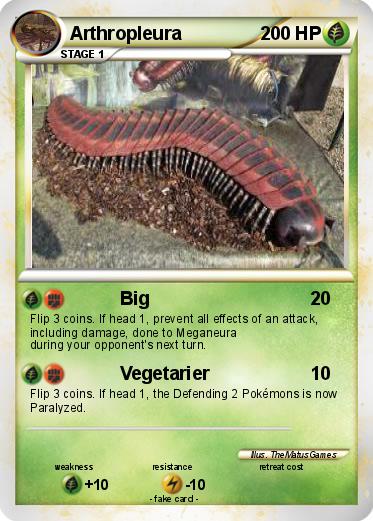 Pokemon Arthropleura