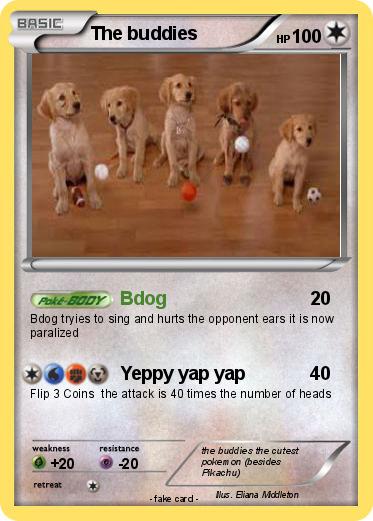 Pokemon The buddies