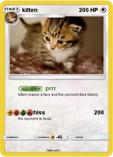 Pokemon kitten