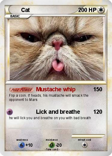 Pokemon Cat