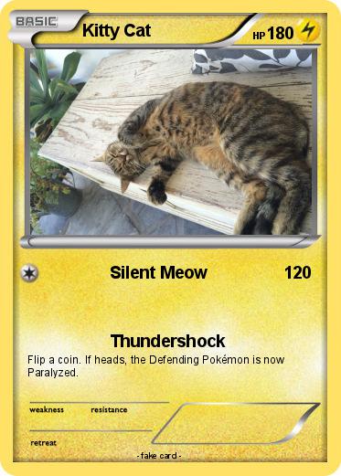 Pokemon Kitty Cat