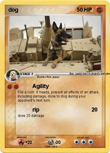 Pokemon dog