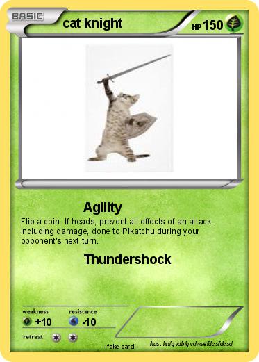 Pokemon cat knight