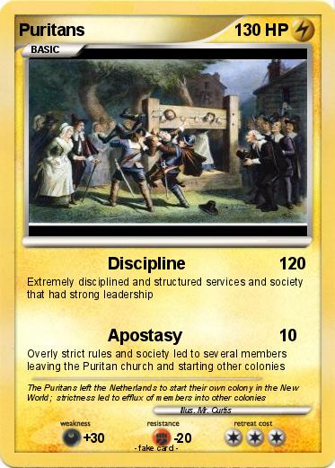 Pokemon Puritans
