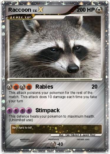 Pokemon Raccoon
