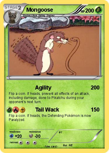 Pokemon Mongoose