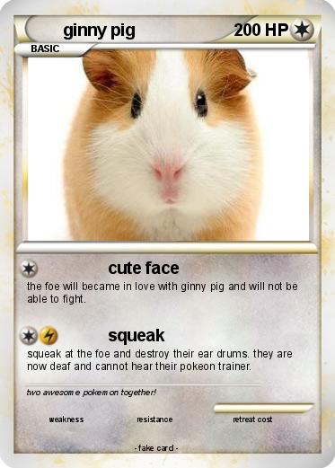 Pokemon ginny pig