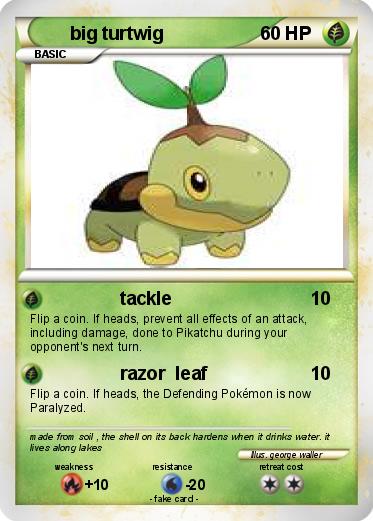 Pokemon big turtwig