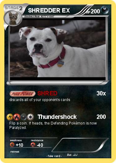 Pokemon SHREDDER EX