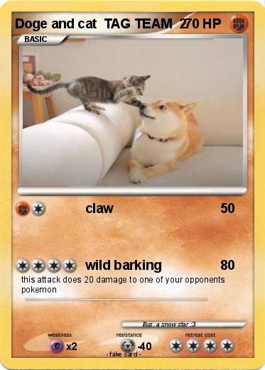 Pokemon Doge and cat  TAG TEAM  2