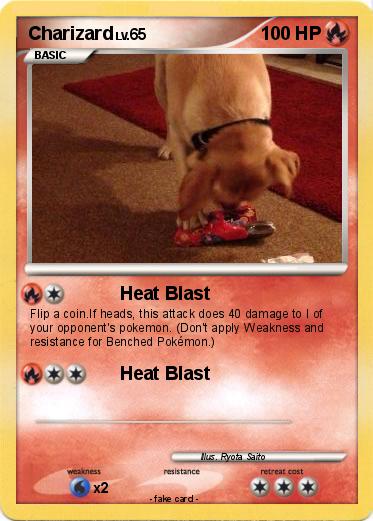 Pokemon Charizard