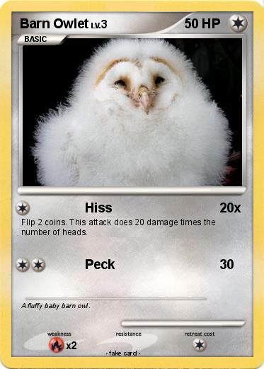 Pokemon Barn Owlet