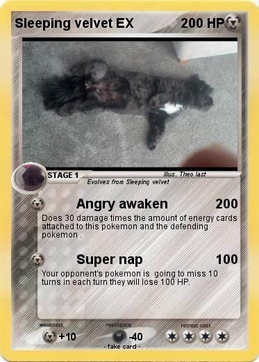 Pokemon Sleeping velvet EX