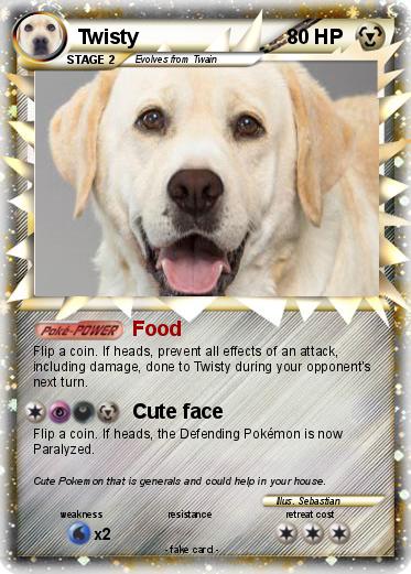 Pokemon Twisty