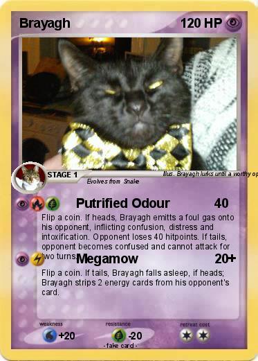 Pokemon Brayagh