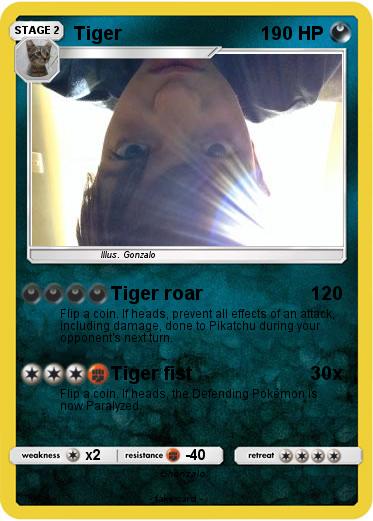 Pokemon Tiger