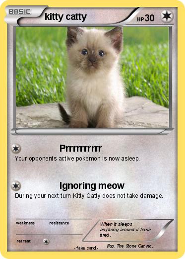 Pokemon kitty catty