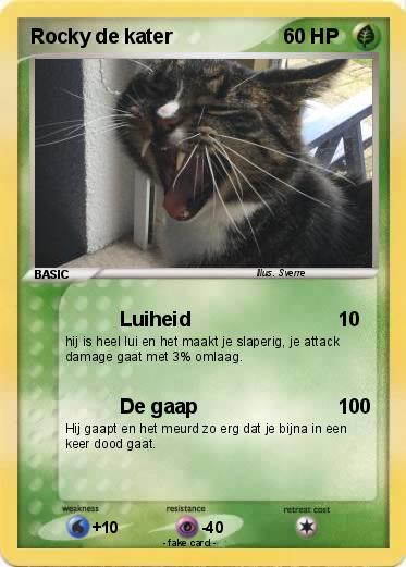 Pokemon Rocky de kater