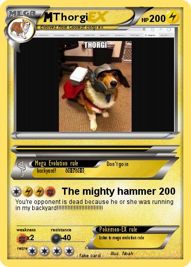 Pokemon Thorgi