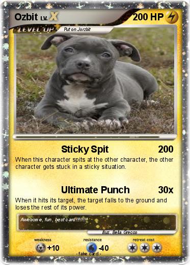 Pokemon Ozbit