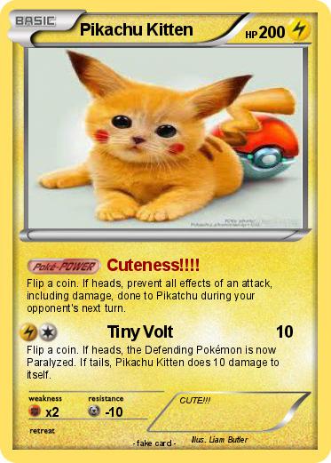 Pokemon Pikachu Kitten