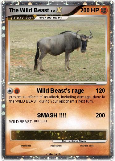 Pokemon The Wild Beast