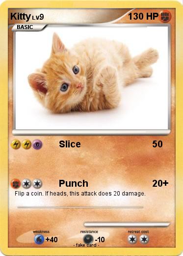 Pokemon Kitty
