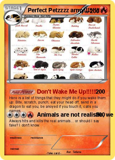 Pokemon Perfect Petzzzz army!!!!!!!!!