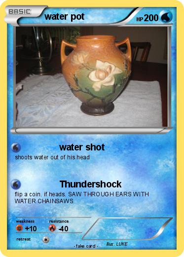 Pokemon water pot
