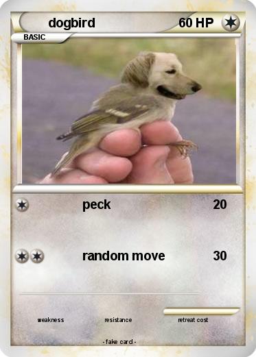 Pokemon dogbird