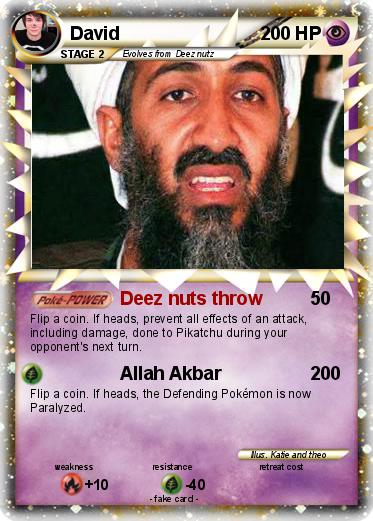 Pokemon David