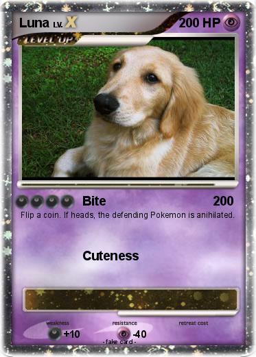 Pokemon Luna