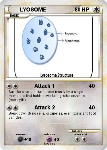 Pokemon LYOSOME