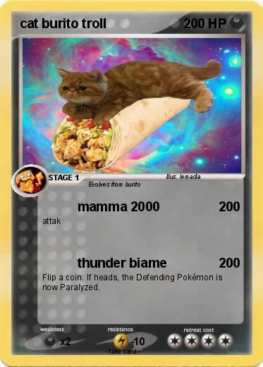 Pokemon cat burito troll