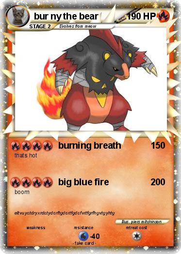Pokemon bur ny the bear